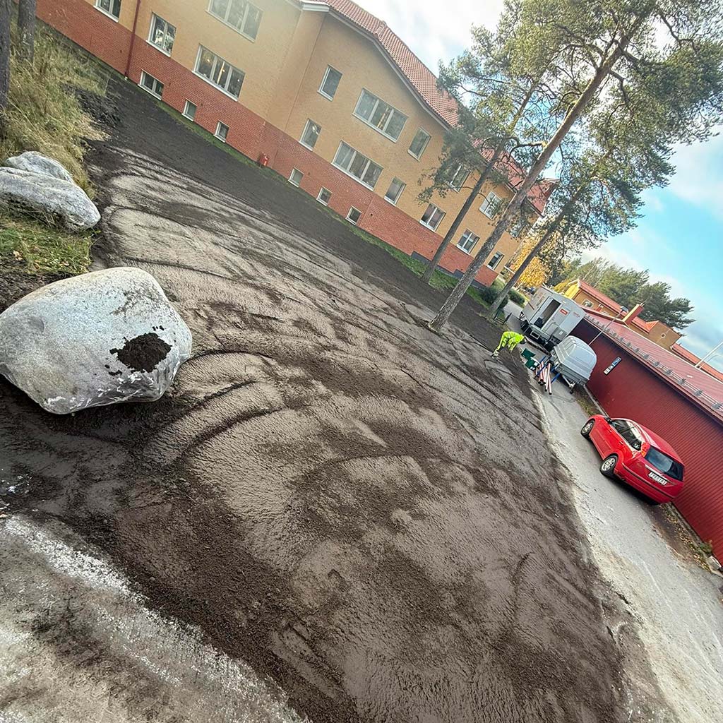 Trädgårdsanläggning Umeå